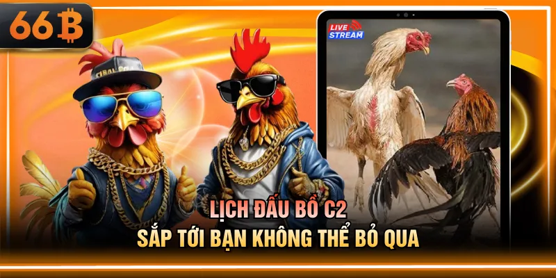Lịch đấu bồ C2 sắp tới bạn không thể bỏ qua