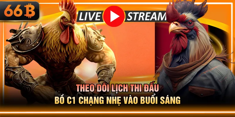 Theo dõi lịch thi đấu bồ C1 chạng nhẹ vào buổi sáng